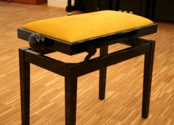 Afbeelding van een hoogglans zwarte pianobank met ranke, smalle poot en"standaard" dekje (stof, sky of soortgelijke materialen; uitgezonderd leer) Prijs: € 249,-