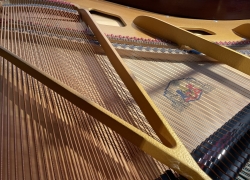 grotrian steinweg vleugel zwart 189cm 7