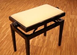 Afbeelding van een hoogglans zwarte pianobank met ranke, smalle poot en"standaard" dekje (stof, sky of soortgelijke materialen; uitgezonderd leer) Prijs: € 199,-